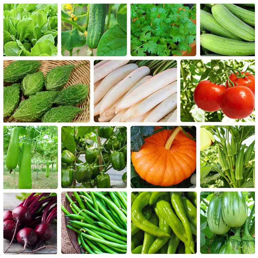 Vegetables